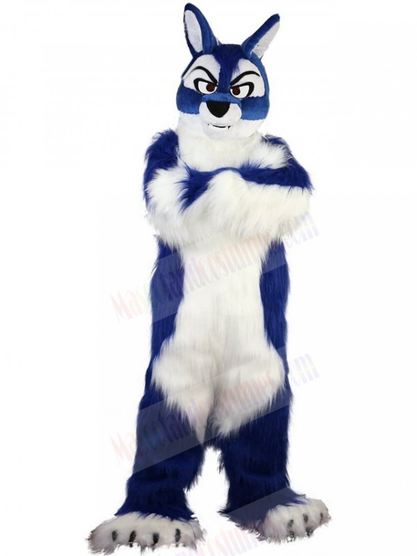 Wolf mascot costume
