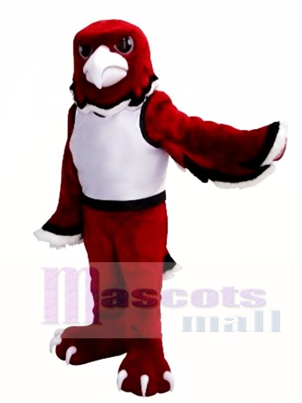 hawk mascot costume