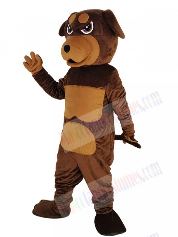 Rottweiler Dog mascot costume