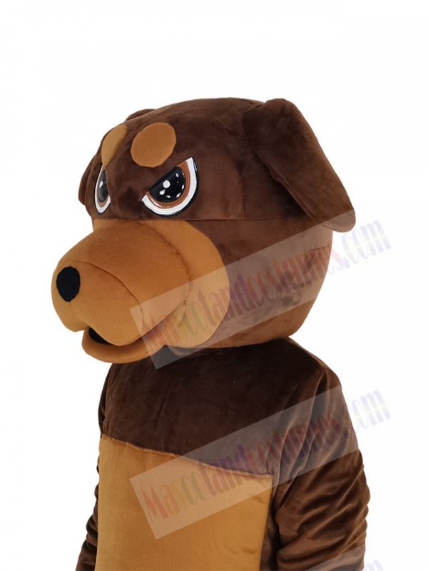 Rottweiler Dog mascot costume