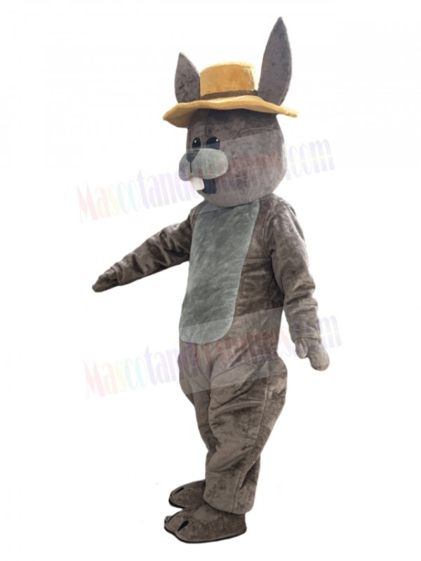 Easter Bunny Rabbit mascot costume