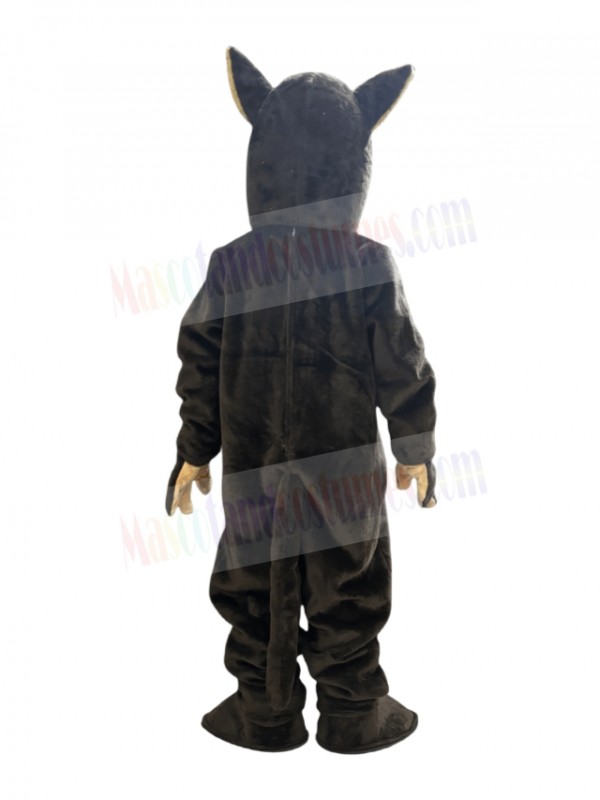 Coyote mascot costume
