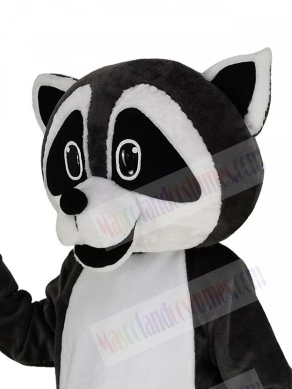 Raccoon mascot costume