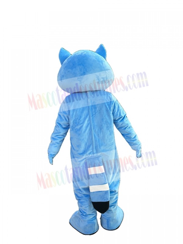 Raccoon mascot costume
