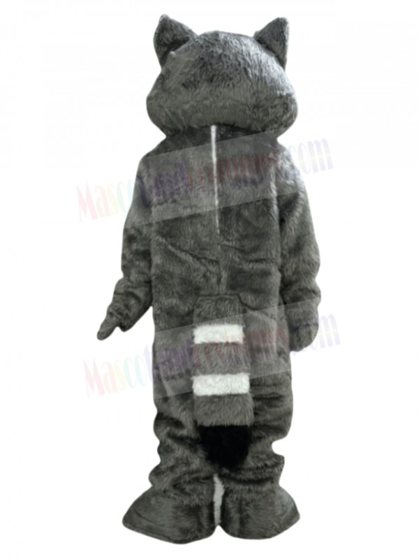 Raccoon mascot costume