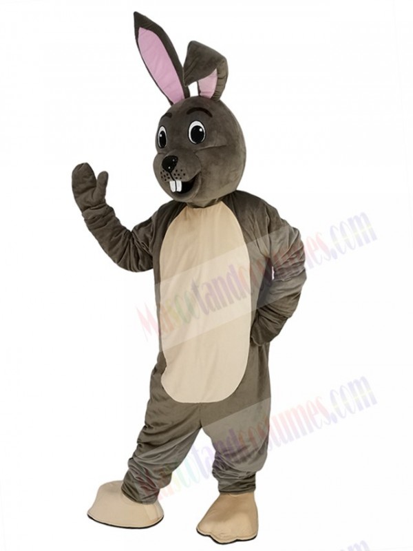 Easter Bunny mascot costume