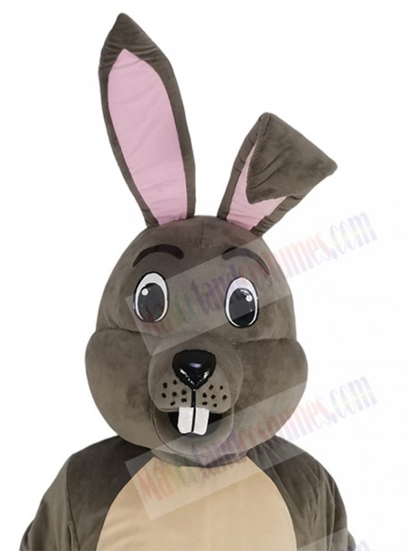 Easter Bunny mascot costume