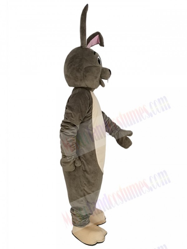 Easter Bunny mascot costume
