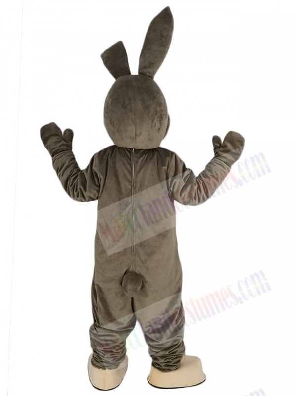 Easter Bunny mascot costume