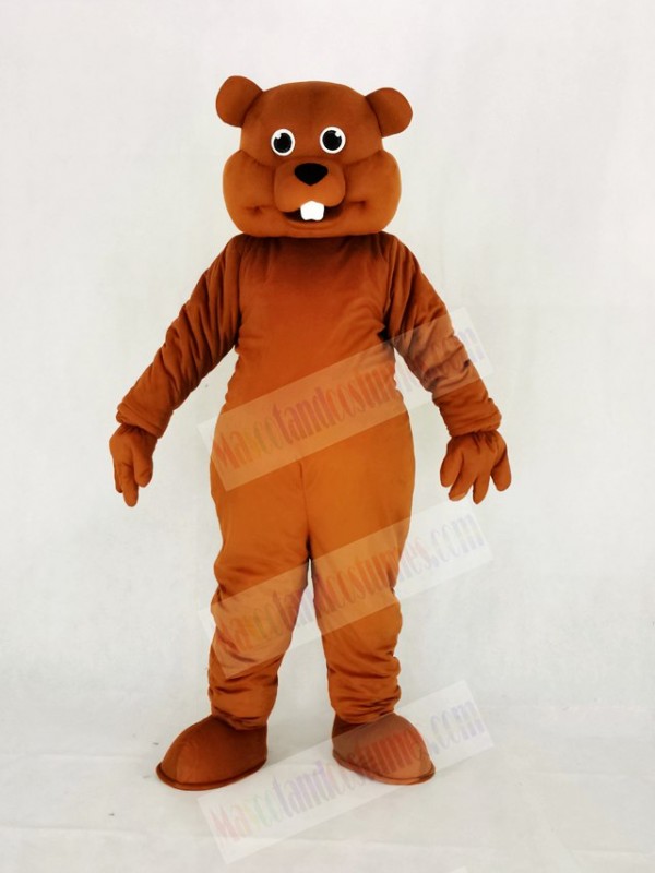 Cute Brown Nutty Squirrel Mascot Costume College	
