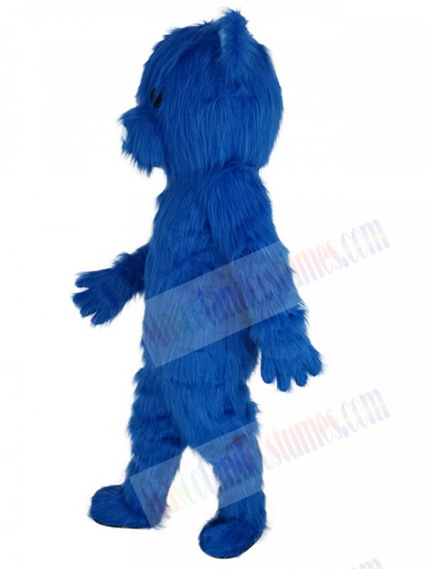 Bear mascot costume