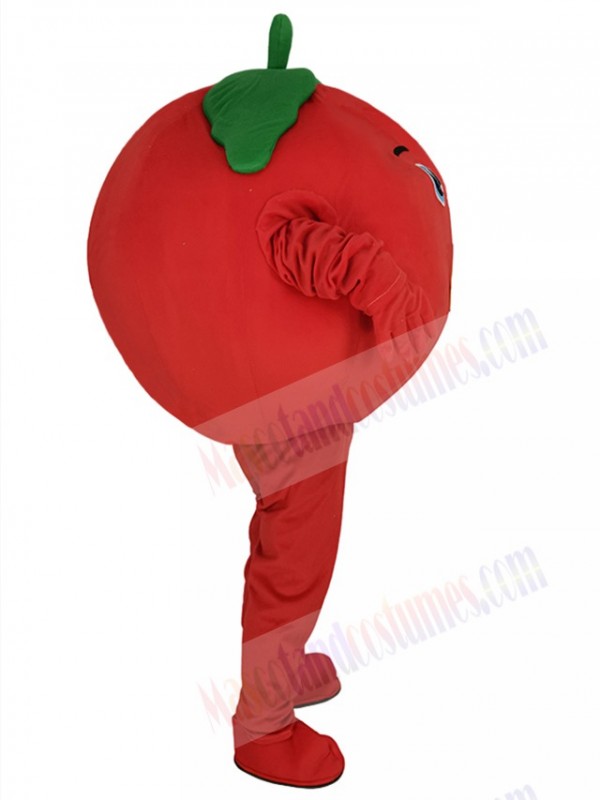 Tomato mascot costume