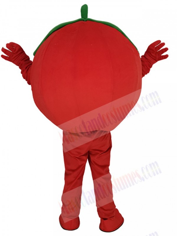 Tomato mascot costume