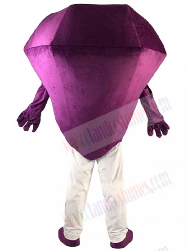 Diamond mascot costume