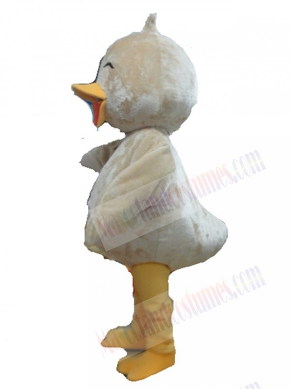 Bird mascot costume