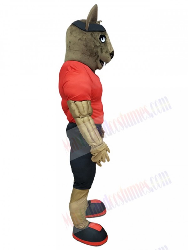 Wolf mascot costume