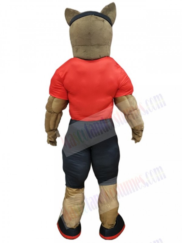 Wolf mascot costume