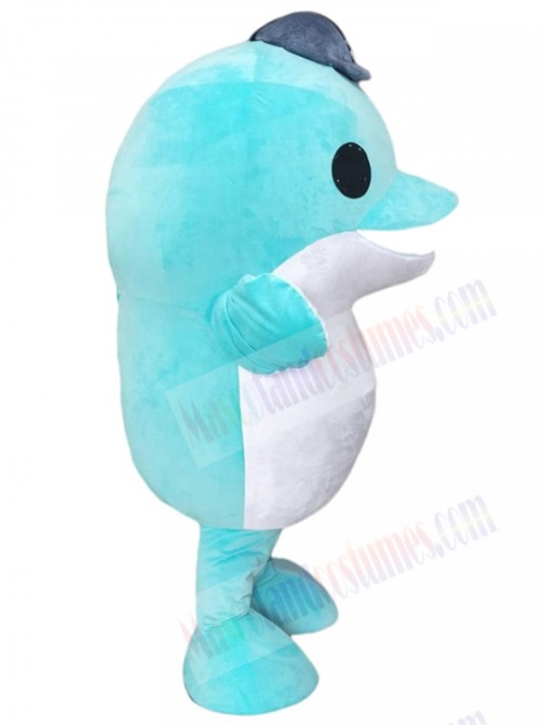Dolphin mascot costume