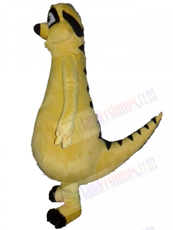 Meerkat mascot costume