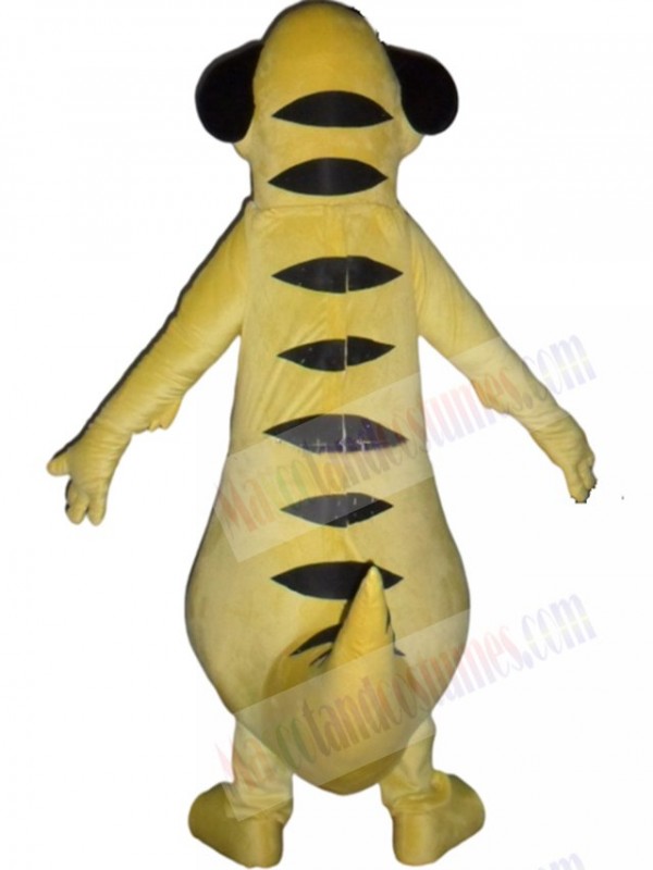 Meerkat mascot costume