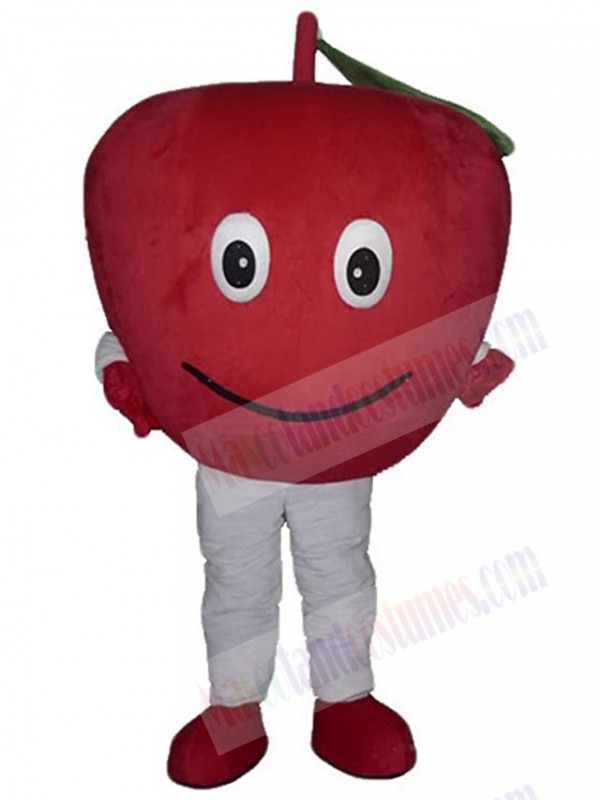 Apple Fruit mascot costume
