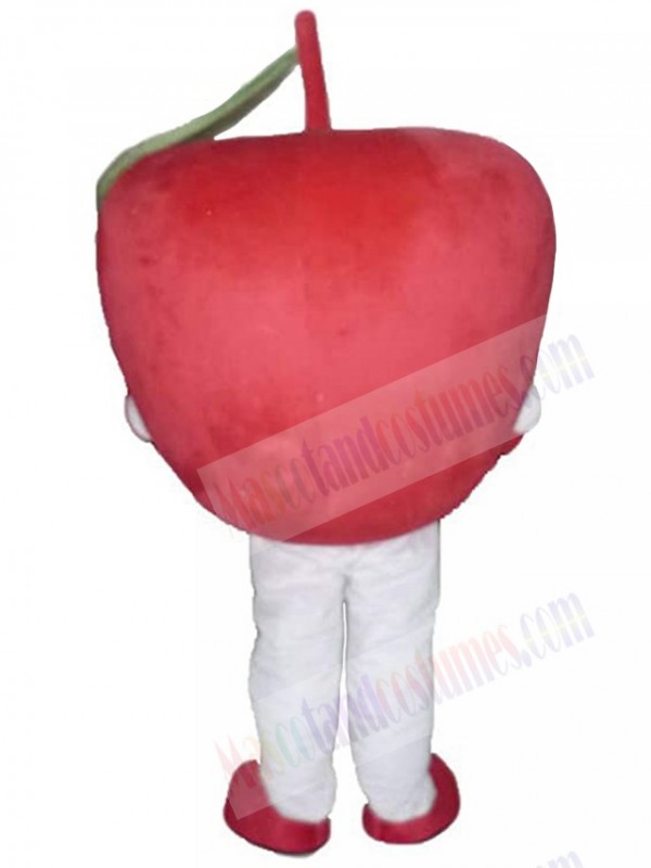 Apple Fruit mascot costume
