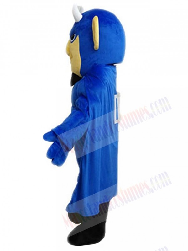 Superhero mascot costume
