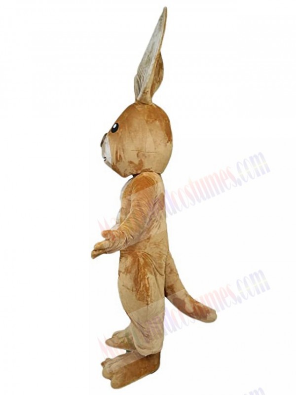 Kangaroo mascot costume