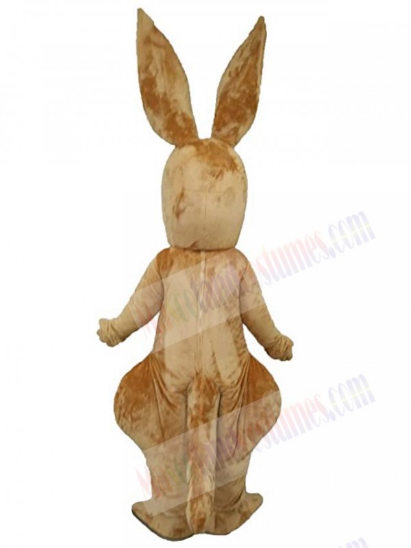 Kangaroo mascot costume