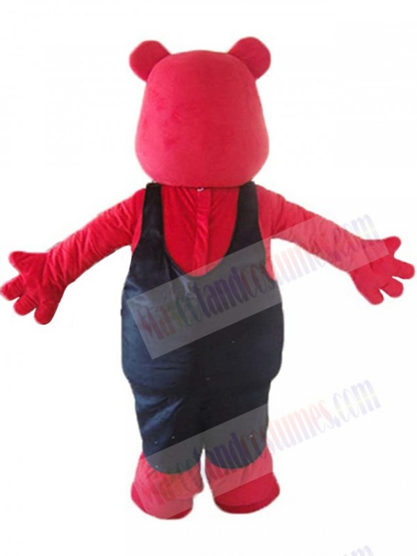 Squirrel mascot costume