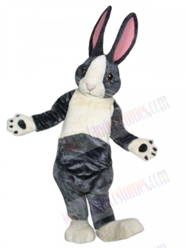 Bunny Rabbit mascot costume