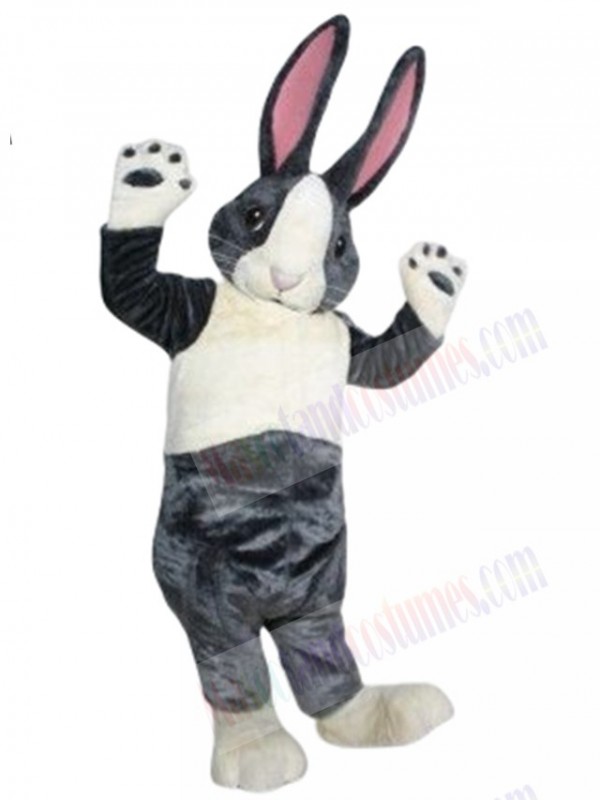Bunny Rabbit mascot costume