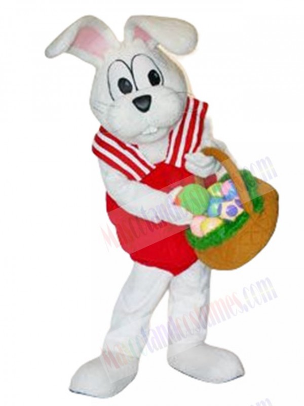 Peter Cottontail Rabbit mascot costume