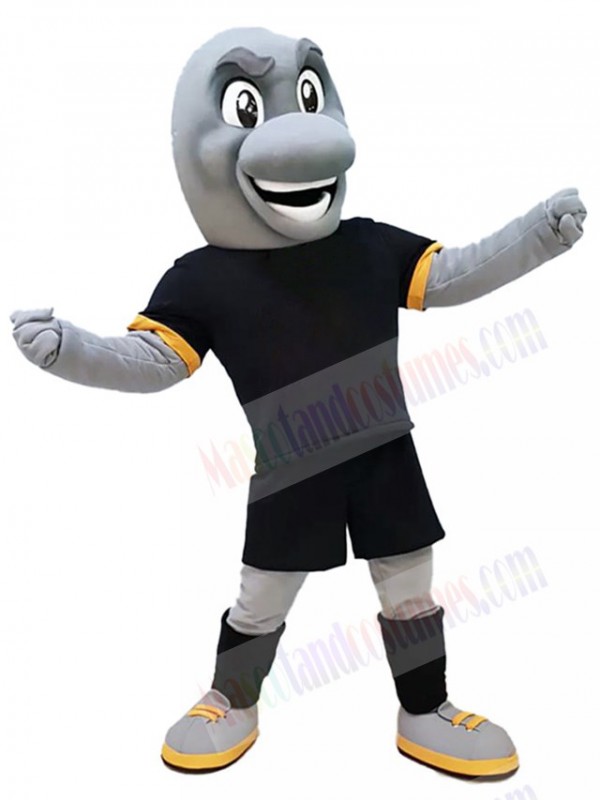 Dolphin mascot costume