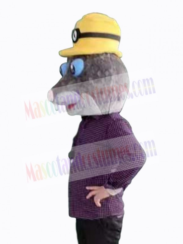 Mole mascot costume
