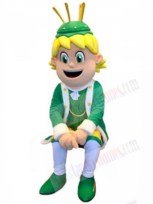 Boy mascot costume