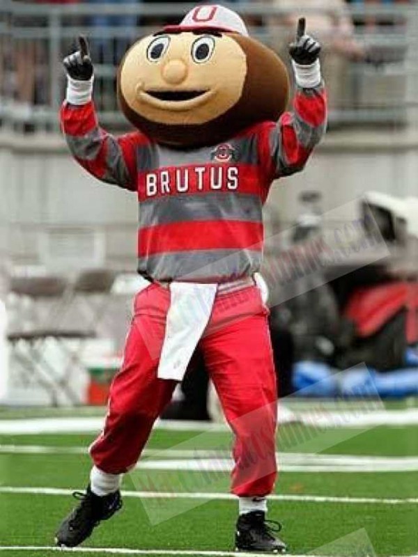 Brutus Buckeye mascot costume