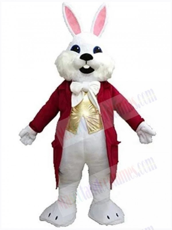 Easter Bunny Rabbit mascot costume