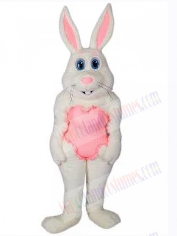Easter Bunny Rabbit mascot costume