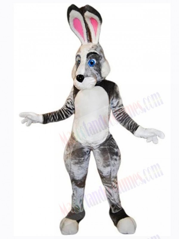 Easter Bunny Rabbit mascot costume
