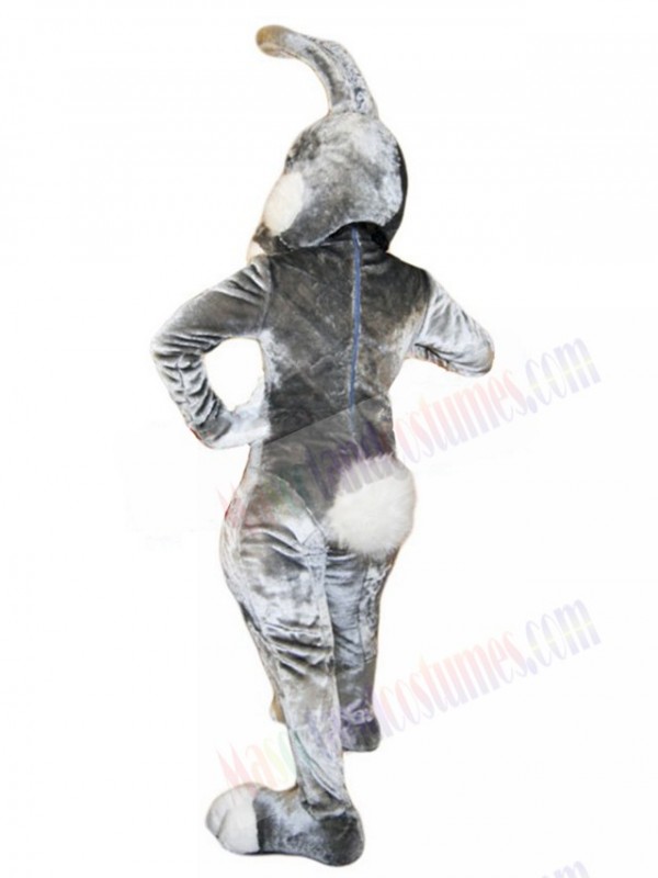 Easter Bunny Rabbit mascot costume