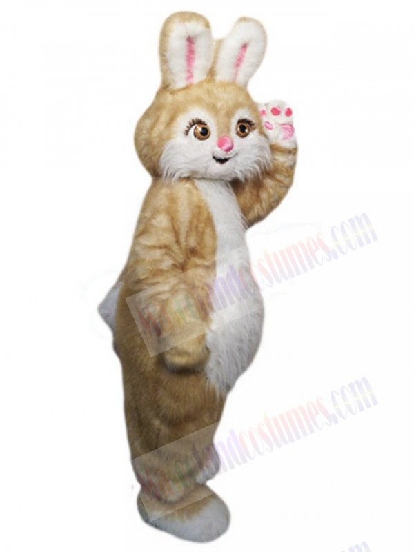 Easter Bunny Rabbit mascot costume