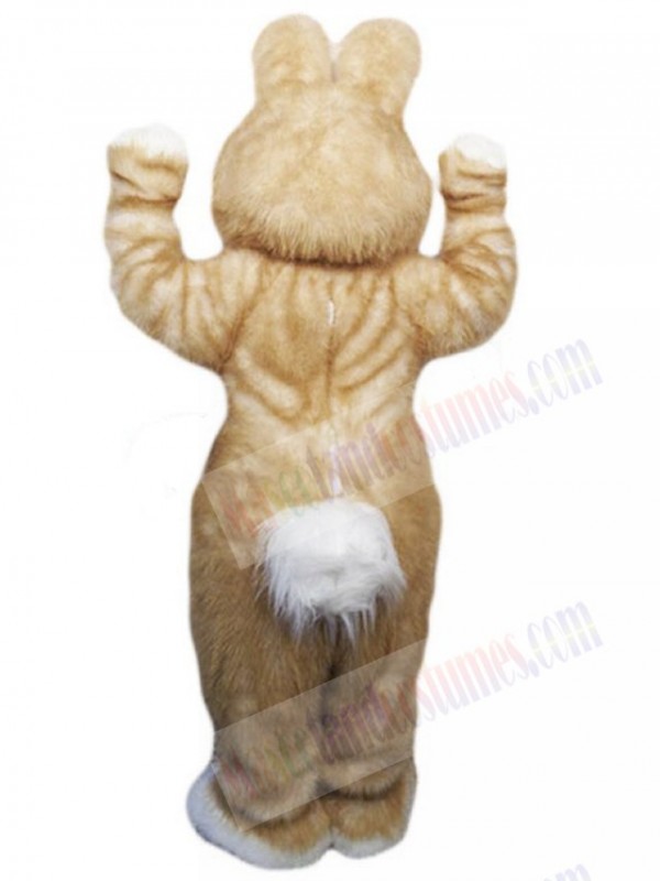 Easter Bunny Rabbit mascot costume