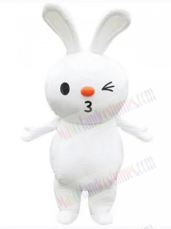 Easter Bunny Rabbit mascot costume