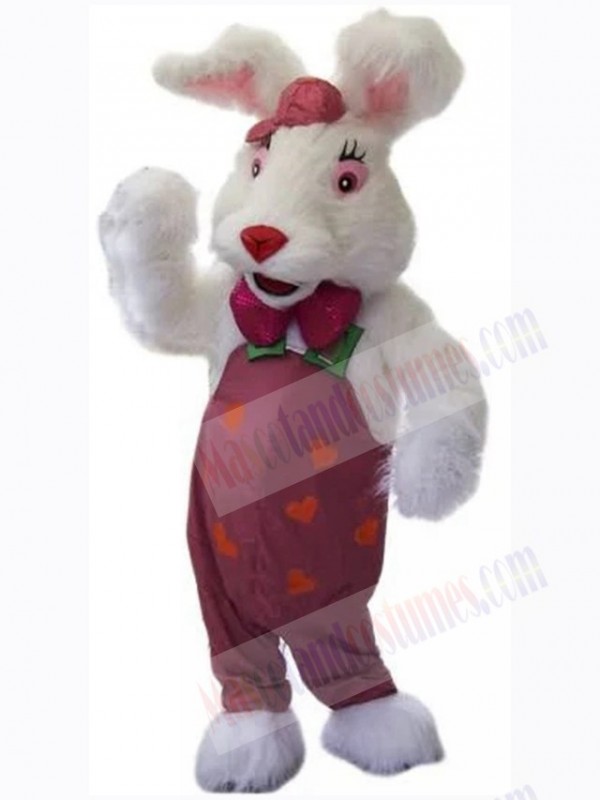 Easter Bunny Rabbit mascot costume