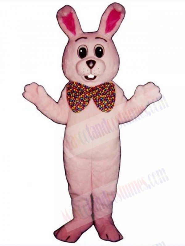 Easter Bunny Rabbit mascot costume