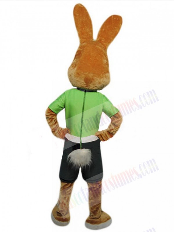 Easter Bunny Rabbit mascot costume