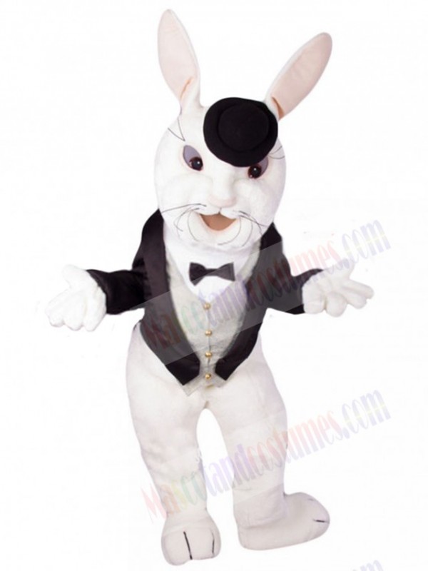 Easter Bunny Rabbit mascot costume
