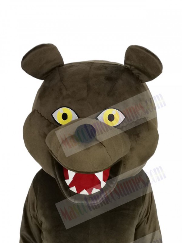 Grizzly Bear mascot costume