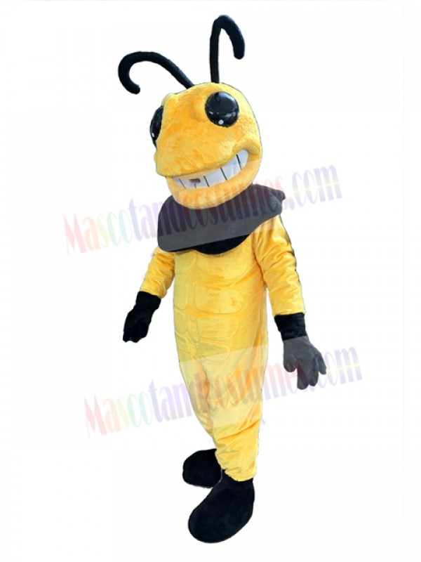 Hornet mascot costume